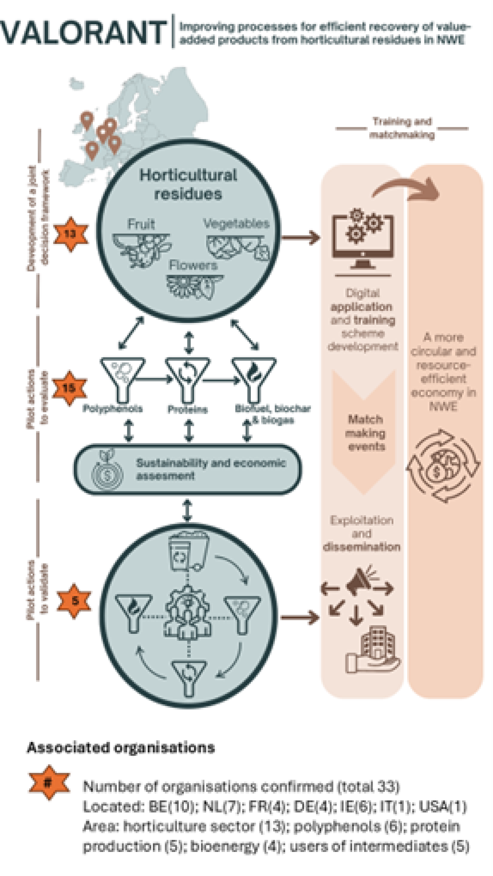 Valorant Infographic