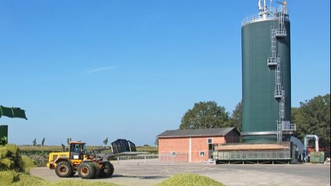 Network Nustedt